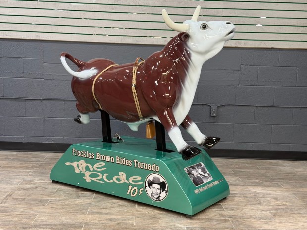 Tornado the Bull Rodeo Children’s Ride - Image 6