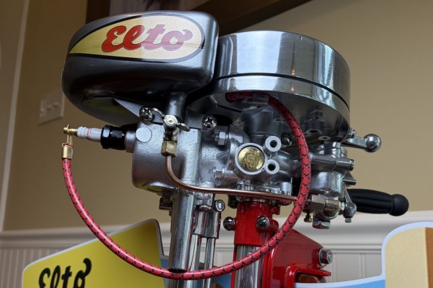 Evinrude Elto Pal Outboard - Image 6