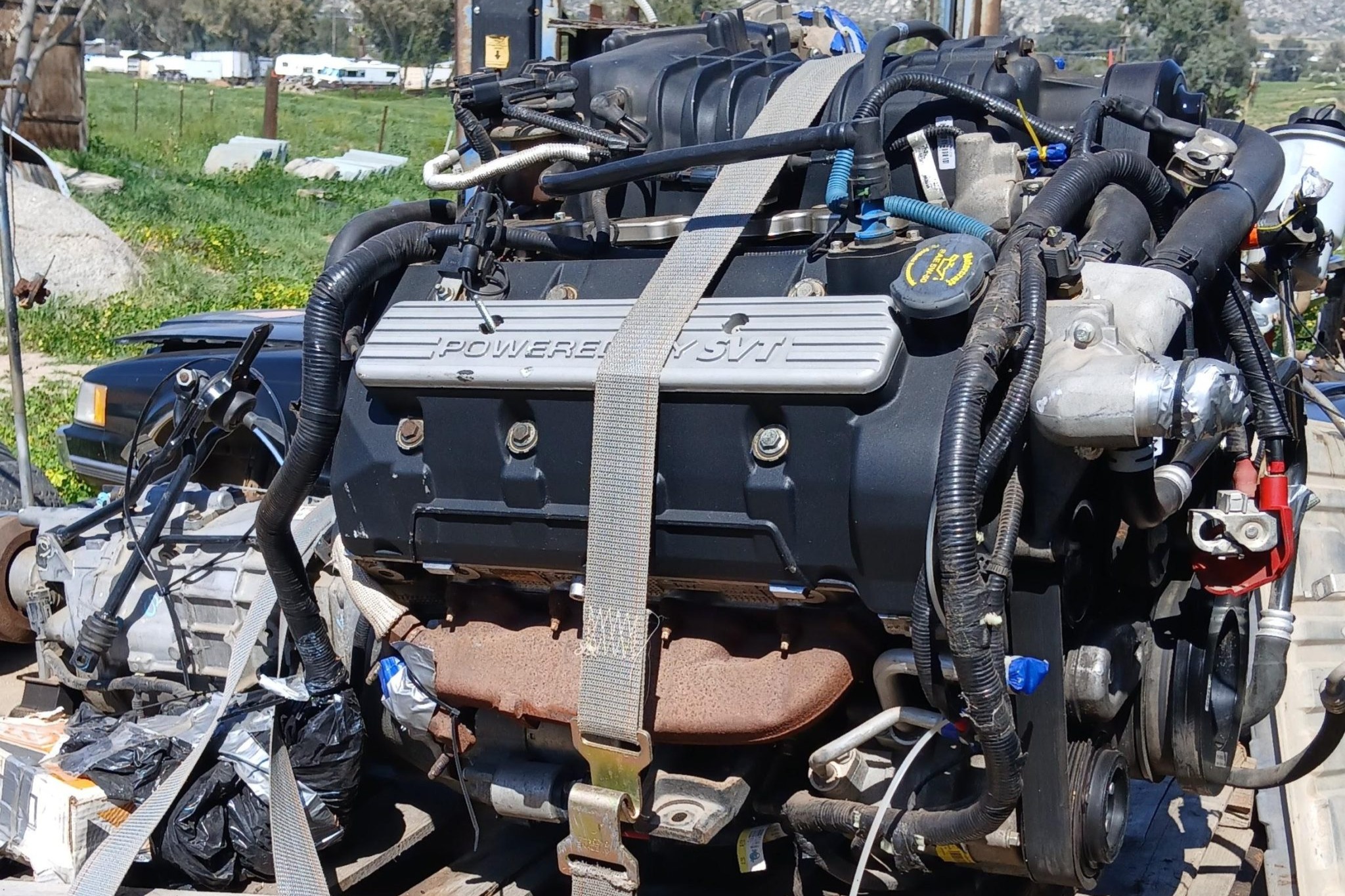 No Reserve: 5.4-Liter Ford SVT V8 Engine and 6-Speed Transmission